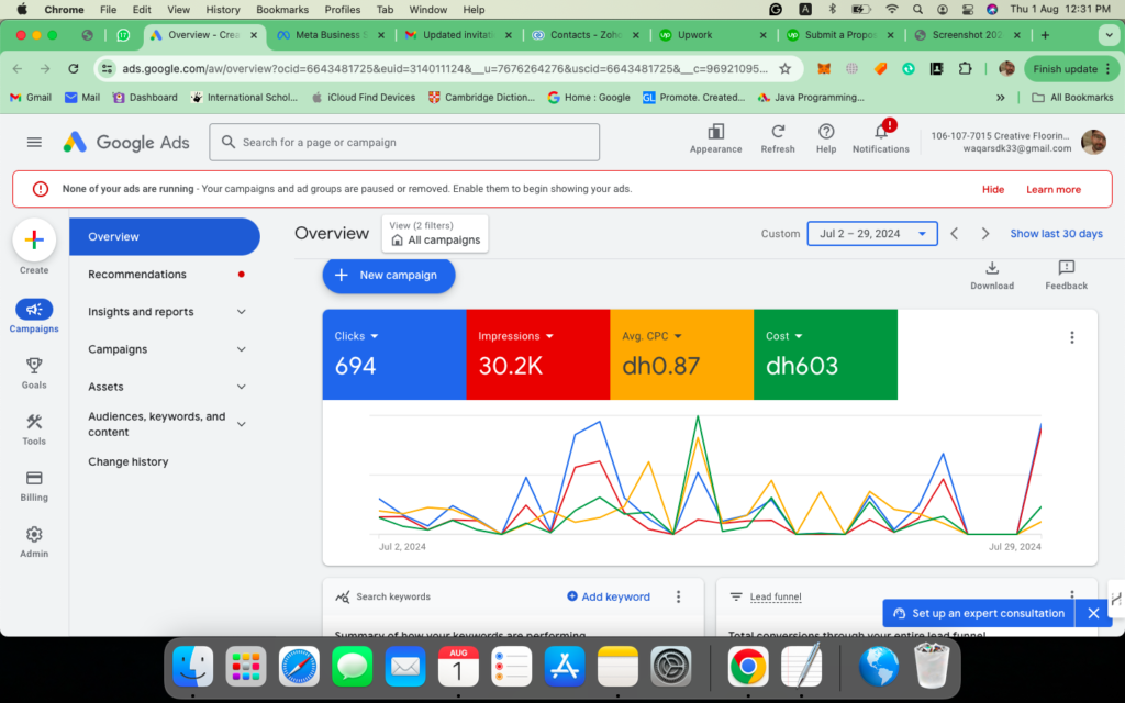 Live Campaign Data (Google Ads)