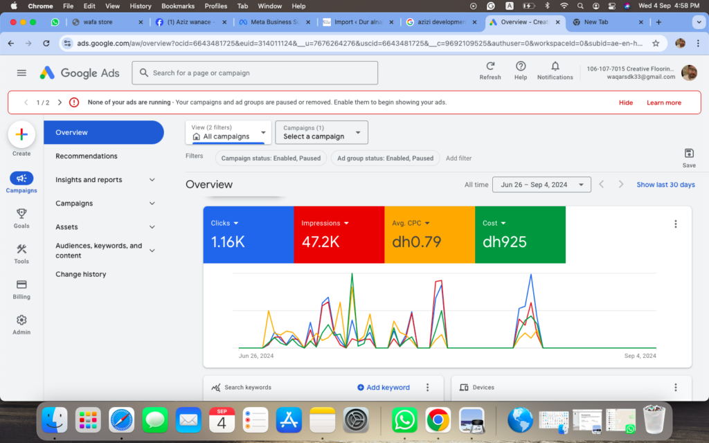 Live Campaign Data (Google Ads)