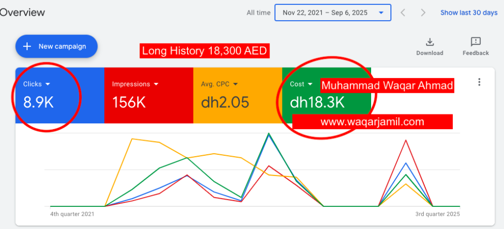 Live Campaign Data (Google Ads)