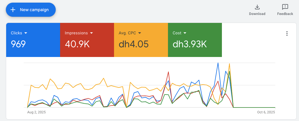 Live Campaign Data (Google Ads)